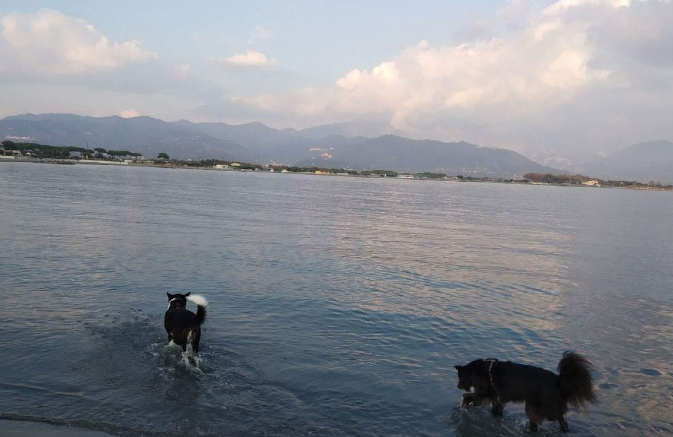 Fiumaretta, spiaggia per cani. Foto: Giulia Reali